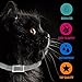 Pet Collar Pest Control Collars with Essential Oil Prevention for Cats and Kittens with Natural Extracts 8 Month Protection Cat Treatment 13 inches One Size Fits ALL