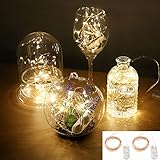 Accmor Led Starry String Lights, Firefly Waterproof Battery Operated Decoration Lights for Christmas (UL Certified, FBA)