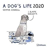 A Dog's Life 2020 30 x 30 Grid Calendar (English, German, French, Italian and Spanish Edition) by 
