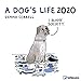 A Dog's Life 2020 30 x 30 Grid Calendar (English, German, French, Italian and Spanish Edition) by 
