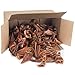 GigaBite Roasted Pig Ears for Dogs, Natural and Healthy Chews, Treats in Whole, Slices, or Sticks, Safe for Puppies and Aggressive Chewers, Clean Teeth and Gums - 2.2 pounds