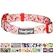 Blueberry Pet Dog Collar - Floral Rose Baby Pink Puppy Collar, Adjustable Dog Collars for Small Dogs, Small Dog Collar Neck 12