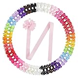 Habibee 60pcs Baby Girl Grosgrain Ribbon Hair Bows 30 Pairs 2 Inch Newborn Toddlers Kids Small Hair Clips Barrettes Pigtails Bows with Hairbows Holder (Solid Color + Polka Dot)