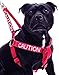 CAUTION Red Color Coded L-XL Non-Pull Dog Harness (Do Not Approach) PREVENTS Accidents By Warning Others of Your Dog in Advance