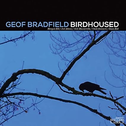 Birdhoused