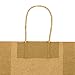 bagmad Sturdy 8x4.75x10 inch 100 Pack Medium Thick Paper Bags with Handles Bulk, Brown Kraft Bags, Strong Craft Gift Grocery Shopping Retail Party Favors Wedding Bags Sacks