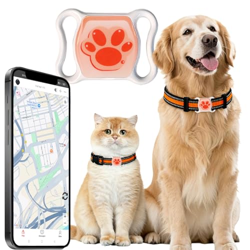 Photo 1 of 2025 GPS Tracker for Vehicles, Cars & Kids–Real-Time Tracking with Worldwide Coverage | No Monthly Fee & No SIM Needed | IP67 Waterproof | Long Battery Life | Compatible with iPhone & Android