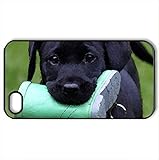 BLACK LAB WITH GUMBOOT - Case Cover for iPhone 4 and 4s (Dogs Series, Watercolor style, Black)