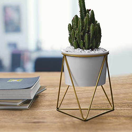 Planter Pots Indoor,Y&M(TM) 6 inch Modern Garden White Ceramic Round Bowl with Metal Air Plant Stand for Succulent Planter Cactus (White + Gold)