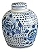 Festcool Antique Style Blue and White Porcelain Flowers Ceramic Covered Jar Vase, China Ming Style, Jingdezhen Chinese (LJ1)