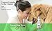 Dog Ear Cleaning Solution - Removes Dirt, Ear Wax and Odor - Great For Itchy Dog Ears - All Natural Dog Ear Wash - Soothing & Effective Pet Ear Cleaner