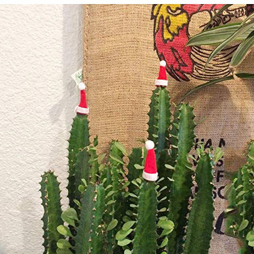 3 ONEYIM+10pcs+Bottles+Christmas+4x7cm%25EF%25BC%2588Small