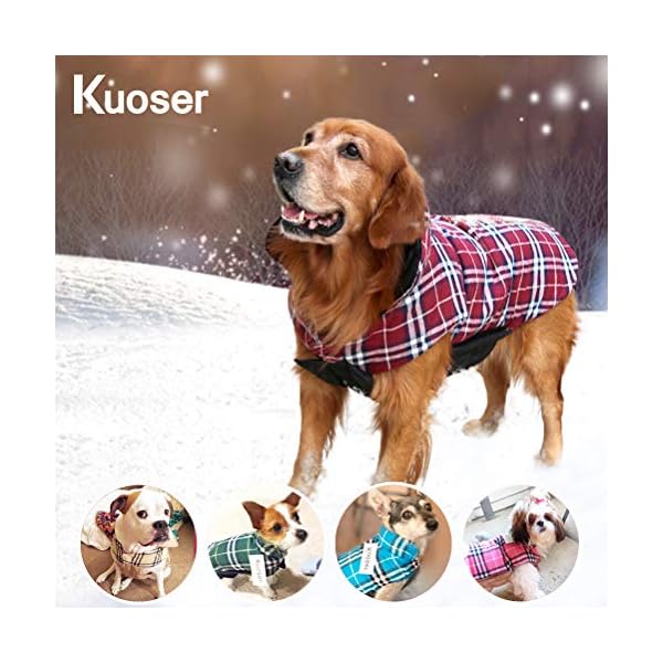 kuoser cozy waterproof windproof