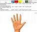 Leather Gardening Gloves by Fir Tree. Premium Goatskin Gloves With Cowhide Suede Gauntlet Sleeves. Perfect Rose Garden Gloves. XL - Men's and Women's Sizes. (See Size Chart Photo)