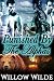 Punished By The Alphas (Steamy Werebear Shifter FMMMM Menage Romance)