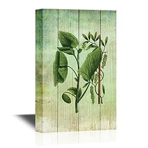 Canvas Wall Art - Color Illustration of Flowers in Watercolor Paintings - Gallery Wrap Modern Home Art | Ready to Hang - 12x18 inches