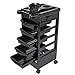 Salon SPA Trolley Storage Cart Coloring Beauty Salon Hair Dryer Holder with 5 Drawers for Tool Storagethumb 1
