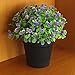 VGIA Small Artificial Plants for Home Decor Fake Flowers in Pot Lovely Decoration (Purple)