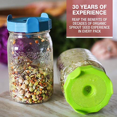 Mumm's Sprouting Seeds - Broccoli Brassica Mixed Blend - 200 GR - Sprout Your Own Organic Microgreen - Easy Sprouter Kit - Thumbnail 6