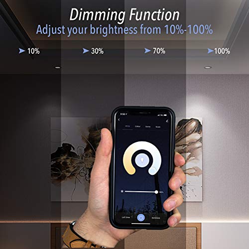 IBRIGHT Smart Dimmer Light Switch (1 or 3Way), 2.4Ghz WiFi, 120 VAC
