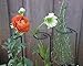 Luster Leaf 985 Flower Support and Plant Prop, 44-Inch Length