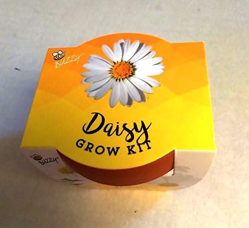 Spring Garden Mini Grow Pot Kit Plant Seeds Plant Outdoor & Indoor Daisy