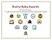 Brainy Baby 123s Flash Card Set Introducing Numbers 1 to 20