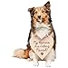 David's Bridal My Humans Are Getting Married Sign Style SAR1704021, Ivory