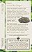 Traditional Medicinals Tea, Organic Green Tea Ginger, Promotes Healthy Digestion, 96 Tea Bags (6 Pack)
