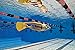 Finis Foil Monofin - Rubber Swimming Fin for Men and Women Swim Flipper to Strengthen Legs and Core - Adult Swim Fin for Swimming and Pool Accessories