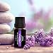 Essential Oils Set Anjou 100 Pure Top 6 Aromatherapy Oils Basic Sampler Gift Kit, 6/10 ml (Lavender, Tea Tree, Eucalyptus, Lemongrass, Orange, Peppermint), Therapeutic Grade