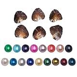 2017 Fashion 7-8mm Oysters with Large Oval Pearl Inside Birthday Gifts (Random Color 10 PCS) (7-8mm)