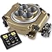 Holley 550-516 Holley Sniper EFI Self-Tuning Kit