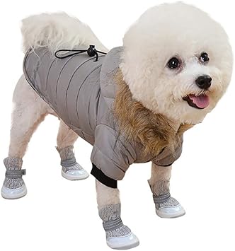 manteau pour chien aliexpress