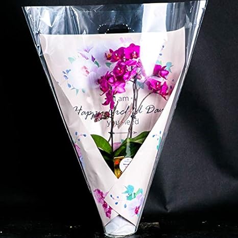 Amazon 母の日 お祝い お歳暮 ギフト 店長こだわり逸品 胡蝶蘭 生花 鉢花 ラッピングしてお届け 立札 名札サービス フラワーギフト 早い者勝ち いろいろな色 種類 価格帯が選べます 開店祝い 開業祝い 就任祝い 昇格祝い 昇進祝い 引っ越し祝い 新築祝い 誕生日