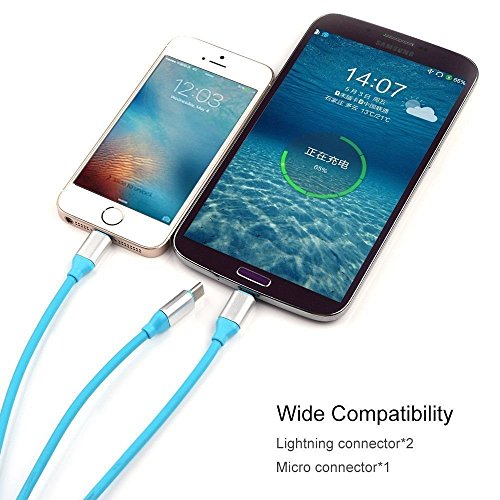 eLUUGIE Dual USB Car Charger,LED Display Voltage and Current for Apple iPhone,iPad,Samsung Galaxy /S Series&Edge Models;LG,Google Nexus,Other iOS and Android Devices Car Charger with Cable (Silver)