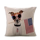 DZT1968 4th July Vintage American Flag patriotic Pillow Cases Cotton Linen Sofa Cushion Cover Home Decor (E)