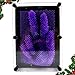 Adorox Plastic Pin Art Board Novelty Toy Fun Kids Multiple Colors Sizes (4 X 5 Inches, Purple)