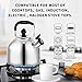 Whistling Tea Kettle Stove TopTeapot, Stainless Steel Teakettle with Fast Boiling Base (3.9Q)