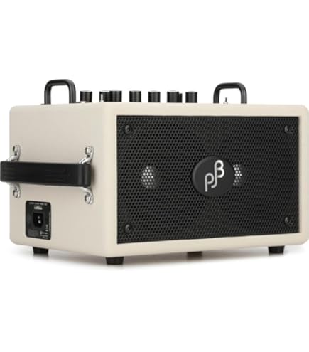 Amazon.com: Phil Jones Bass Double Four 2 x 4-inch 70-watt Bass