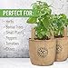 Indoor Garden Grow Bags 1 Gallon - 5 Jute Burlap Bag Fabric Pots - Plant Pot for Container Gardening Outdoor, Growing Plants Indoors, Planting Seeds, Herb Planter, Balcony Planters - Liner + Drainage