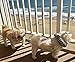 Puppy Bumpers Keep Your Dog on The Safe Side of The Fence - Rainbow Paw (10-13