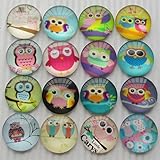 20pcs Round Clear Cabochons Flatbacks Resin Dome Cameos 25mm Owl