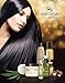 Hair Chemist Macadamia Oil Hair Serum 4 ounce