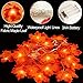 3 Pack Fall Garland with Pumpkin Lights & Enlarged Maple Fall Halloween String Lights Pumpkin Decor, 30Ft 60LED Waterproof Battery Operated Fall Decorations for Home Thanksgiving Decor Indoor Outdoor