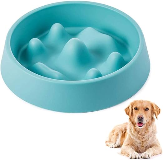 dog bed with food bowl