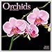 Garden Calendar - Flower Calendar - Orchids Calendar - Calendars 2016 - 2017 Wall Calendars - Orchids 16 Month Wall Calendar by Avonside