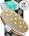 Dry Brushing Body Brush Cellulite Massager - Exfoliating Bath & Spa Scrubber for Shower with Natural Boar Bristles - Scrub Away Dead Skin and Toxins, Stimulate Lymphatic System