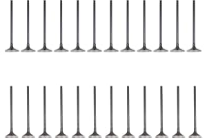 Roneeson Intake and Exhaust Valves for Acura CL 2001-03, MDX 2001-06, TL 3.2 2000-08, Honda Accord 3.0 1998-07, Odyssey 2002-