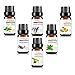 Essential Oils set Gift 6/10ml, Aromatherapy essential oil Basic Sampler Gift Set & Kit (Orange,Lavender,Tea Tree,Peppermint,Lemongrass,Rosemary)